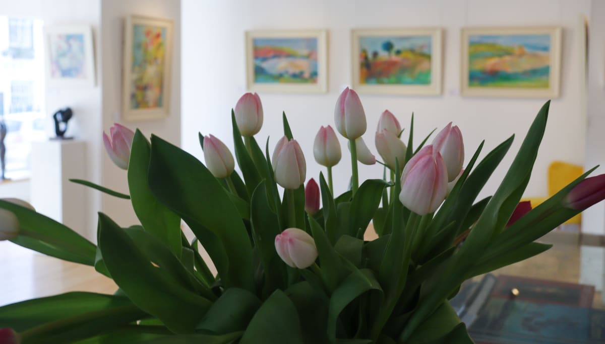JO VOLLERS - BETWEEN THE LINES PRIVATE VIEW