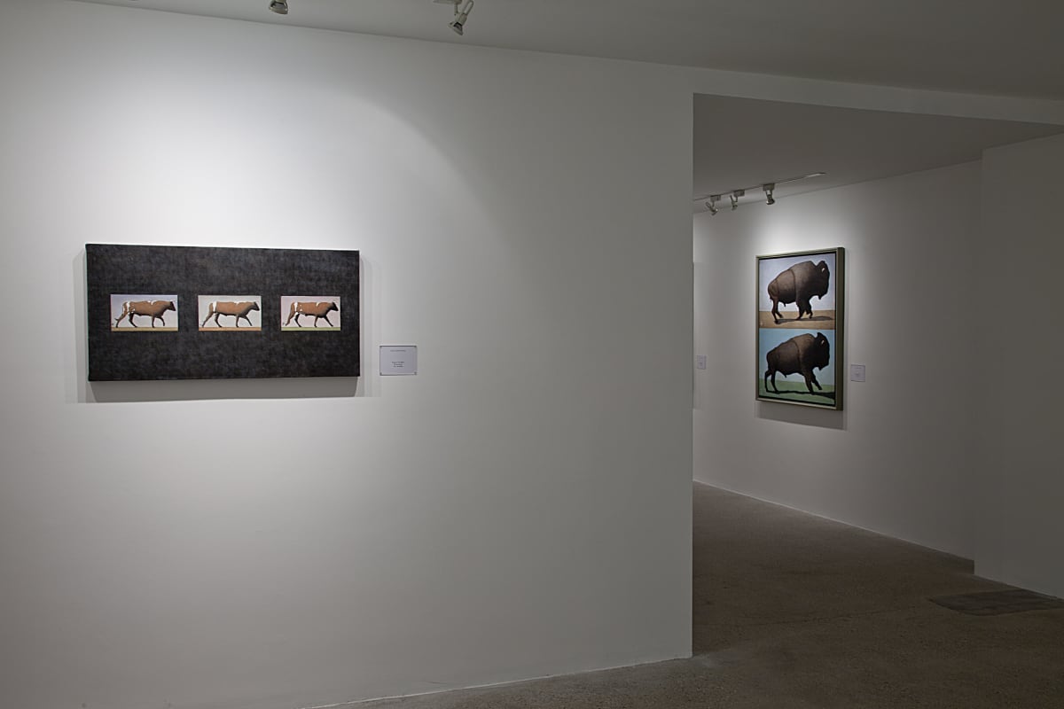 Andrew Nixon: The Attitudes of Animals in Motion | November 8, 2013 -  January 11, 2014 - Overview | Cade Tompkins Projects