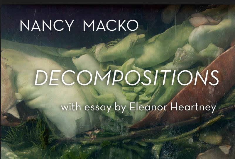 Changing States and Gorgeous Decay, essay by Eleanor Heartney about Nancy Macko's 'Decompositions'