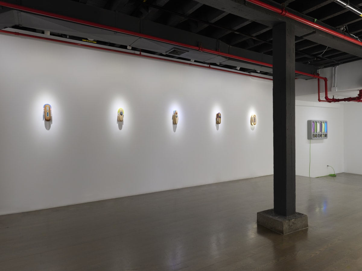 PROJECTION 007: ESTHER RUIZ, Partial Light Index