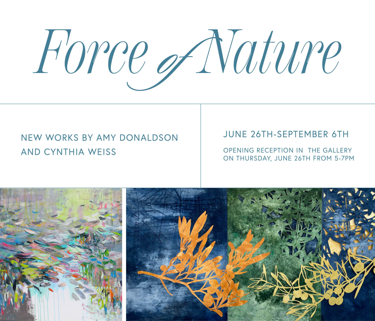Force of Nature: Works by Amy Donaldson and Cynthia Weiss