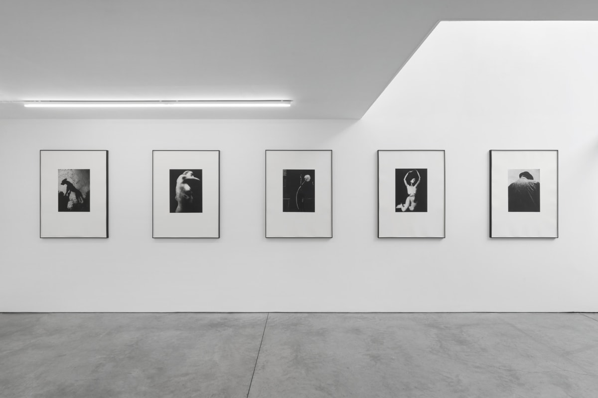 Jack Davison | Pictures Music - アート・デザイン・音楽