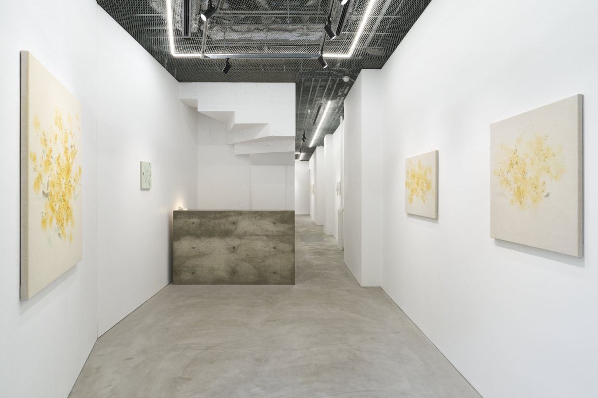 トリやチョウやミツバチや | 2025年6月14日 - 7月19日 - Overview | COHJU