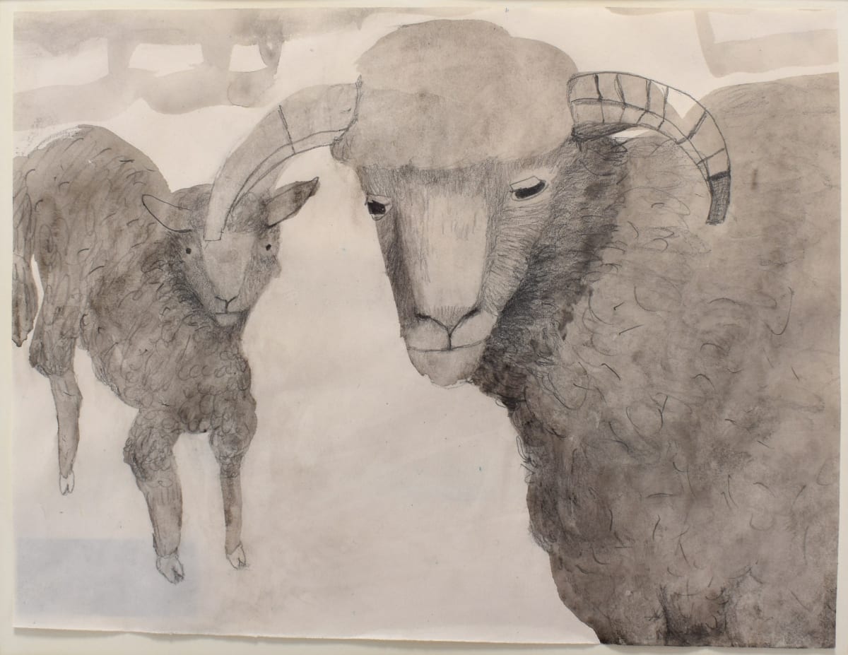 Mary Newcomb - Overview | Crane Kalman Gallery