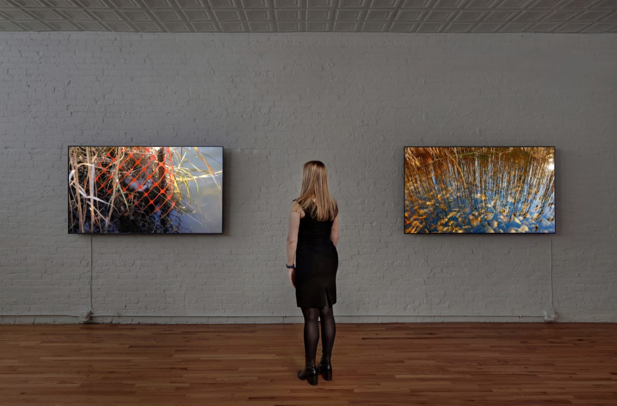 peter campus: meditations