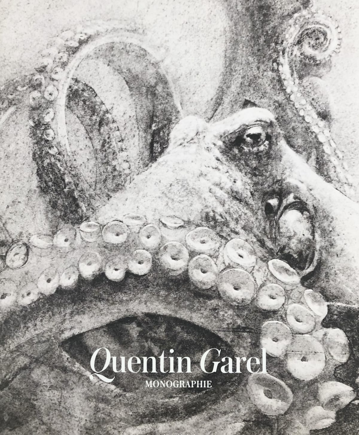 Quentin Garel: Monographie