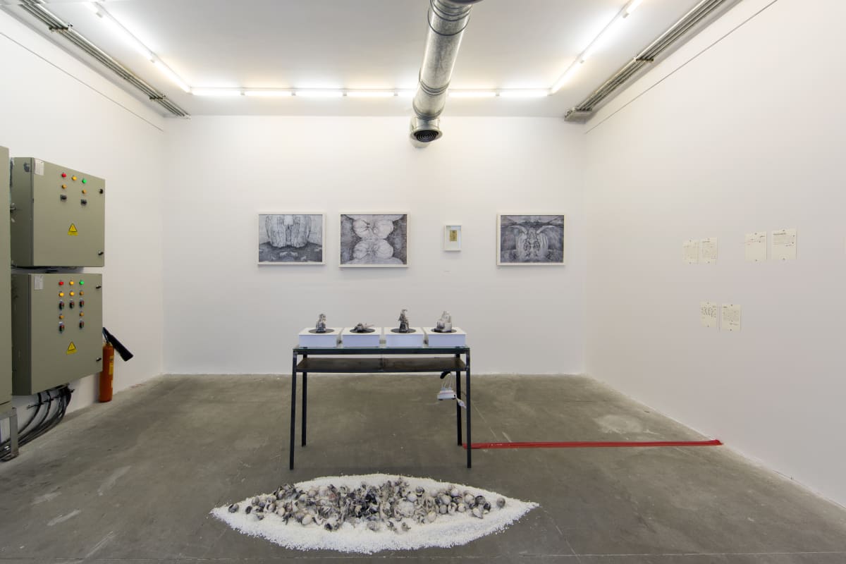 Behnaz Fatemi | "Residue" • Electric Room 08/50 • 1 - 6 September 2017