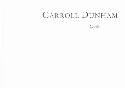Carroll Dunham: Land