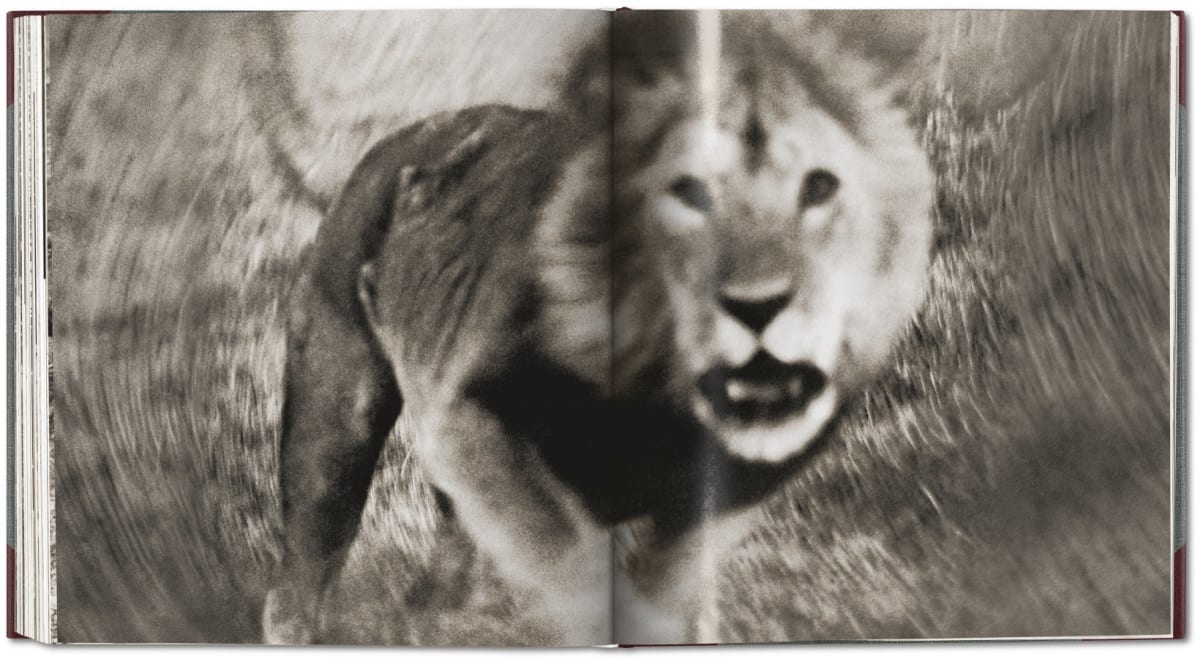 Publication: The End of the Game - Peter Beard | Dellasposa