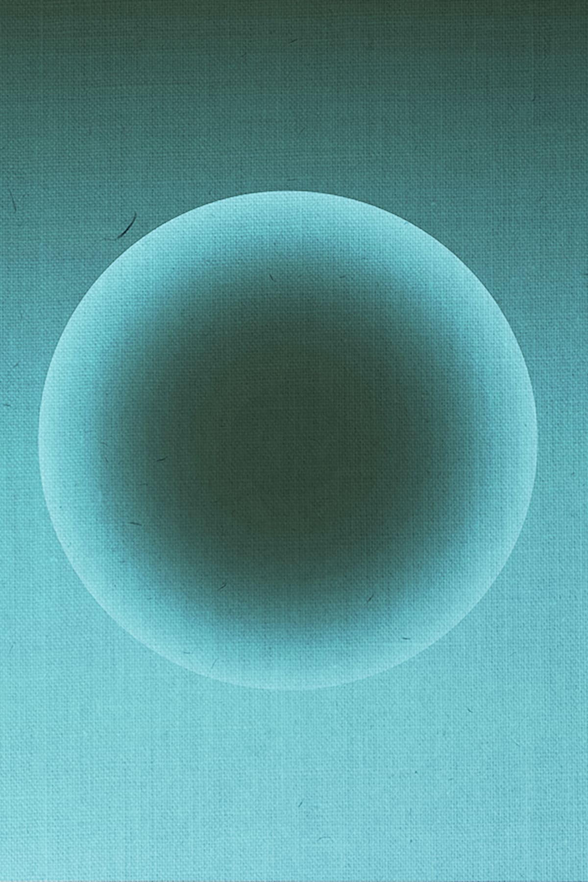 Publication 5