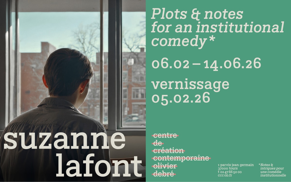 Suzanne Lafont : PLOTS AND NOTES for an institutional comedy