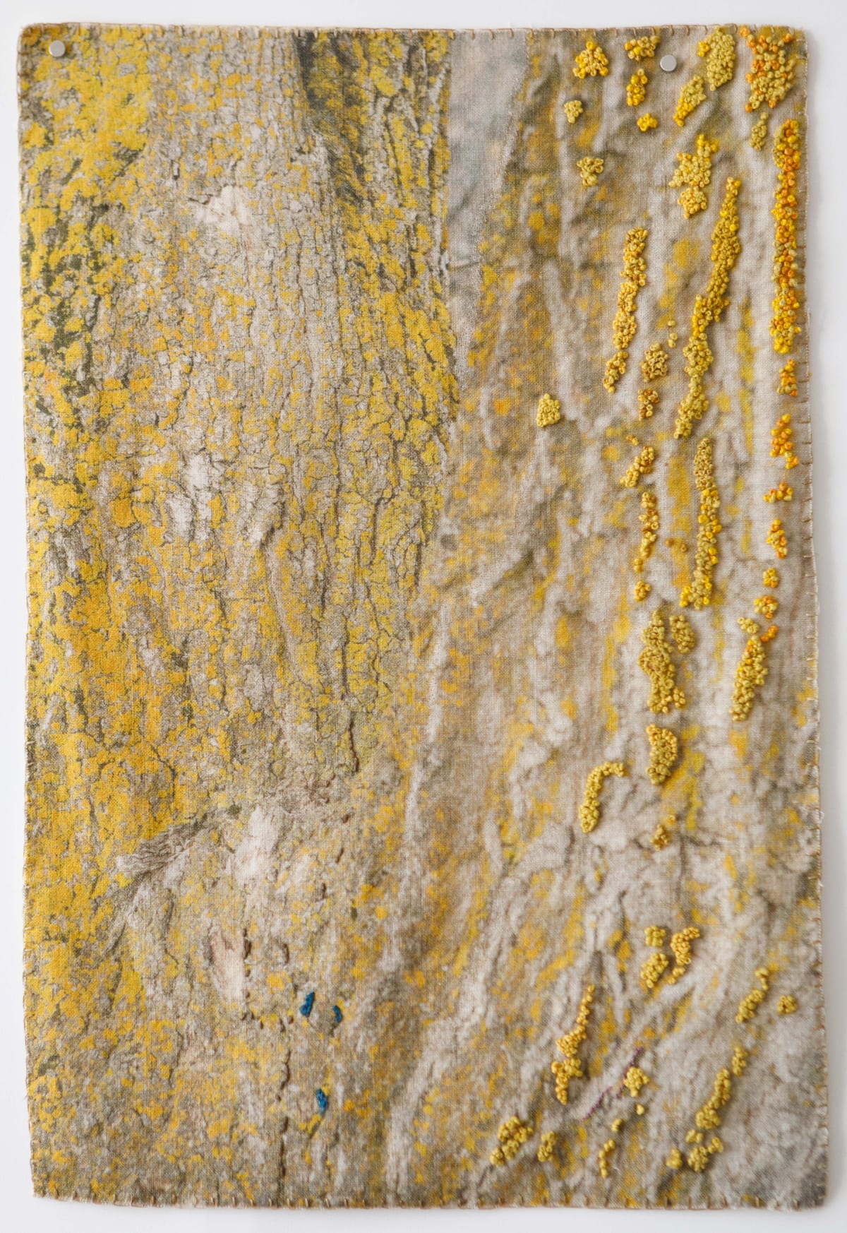 Wendi Schneider and Laurie Lambrecht: Reverence