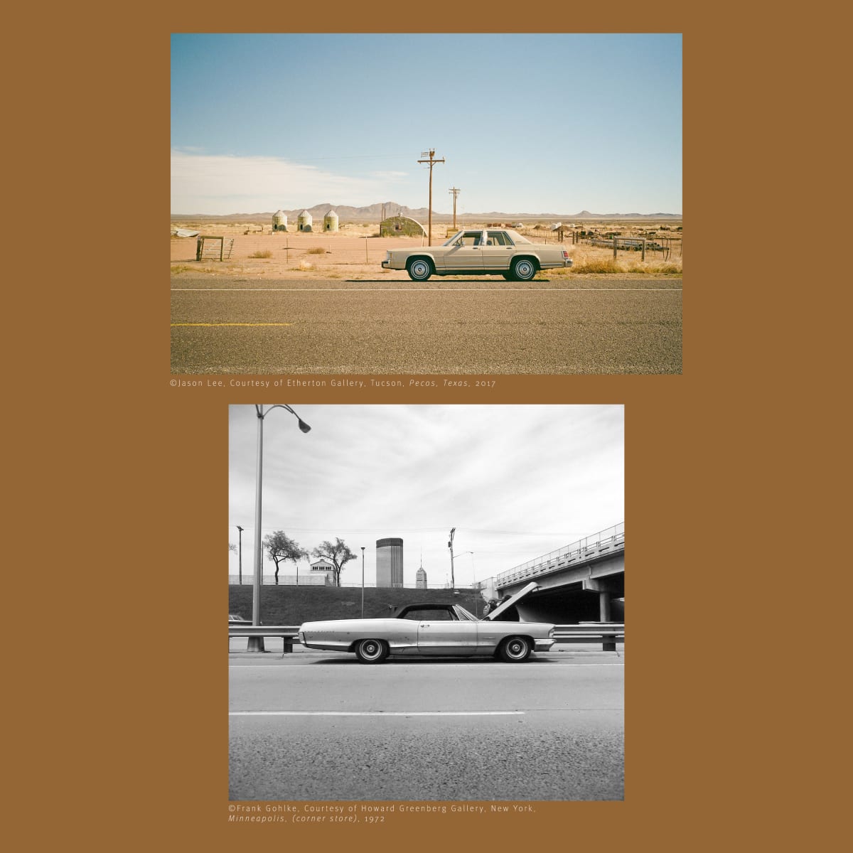 Jason Lee & Frank Gohlke: ALTERNATIVE VIEWS