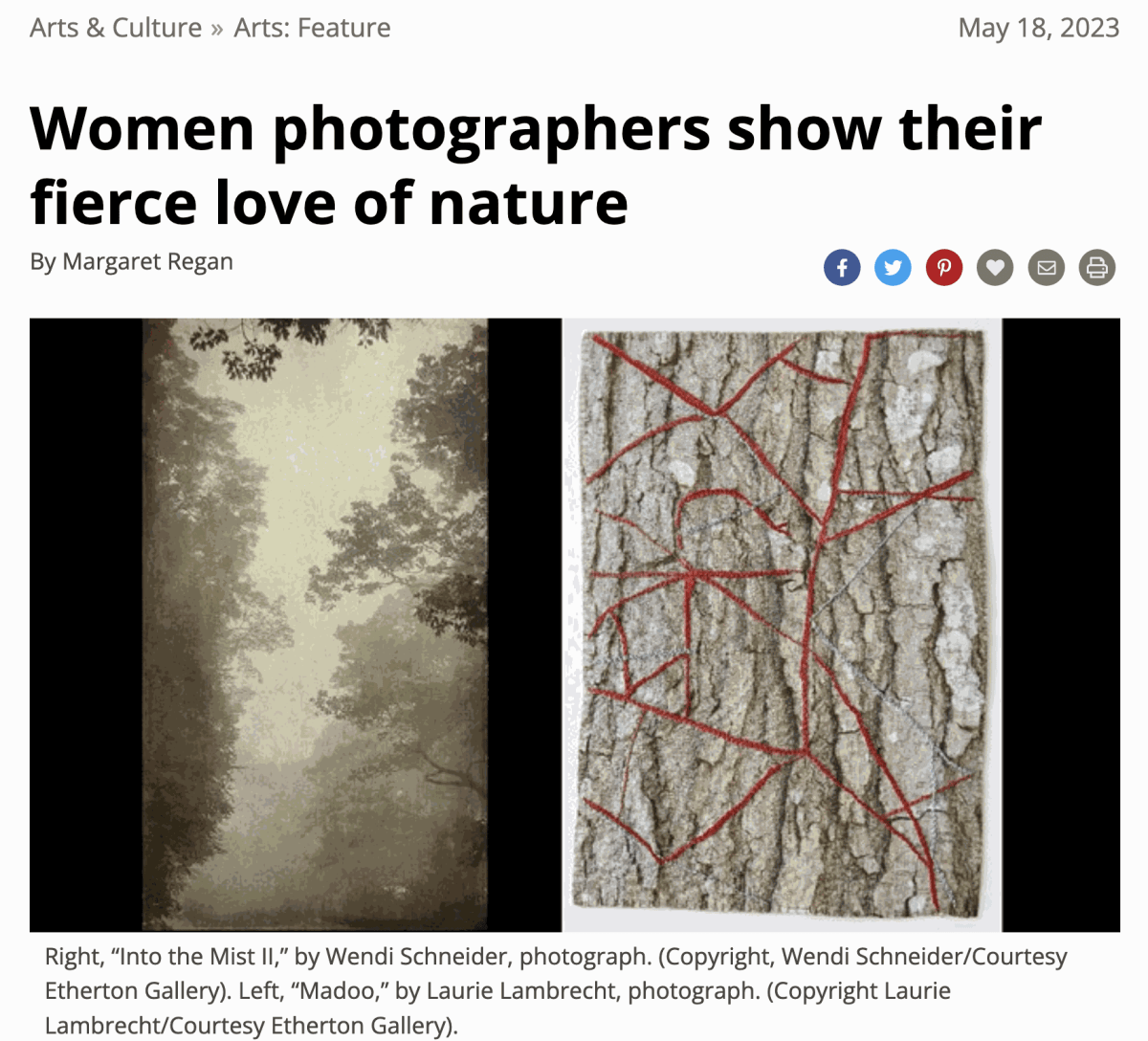 Women photographers show their fierce love of nature