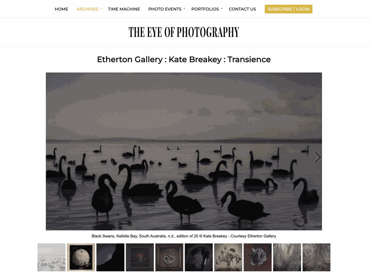 The Eye of Photography - Kate Breakey: Transience