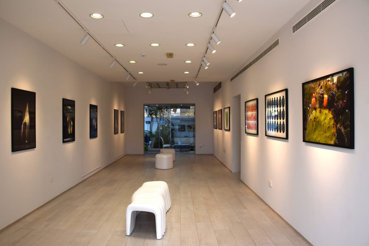 Printed Matter El3attar Film Collective, Cynthia Zahar, Georges Yammine, and Mohammad Al Hawajri with musical commission by Aoun