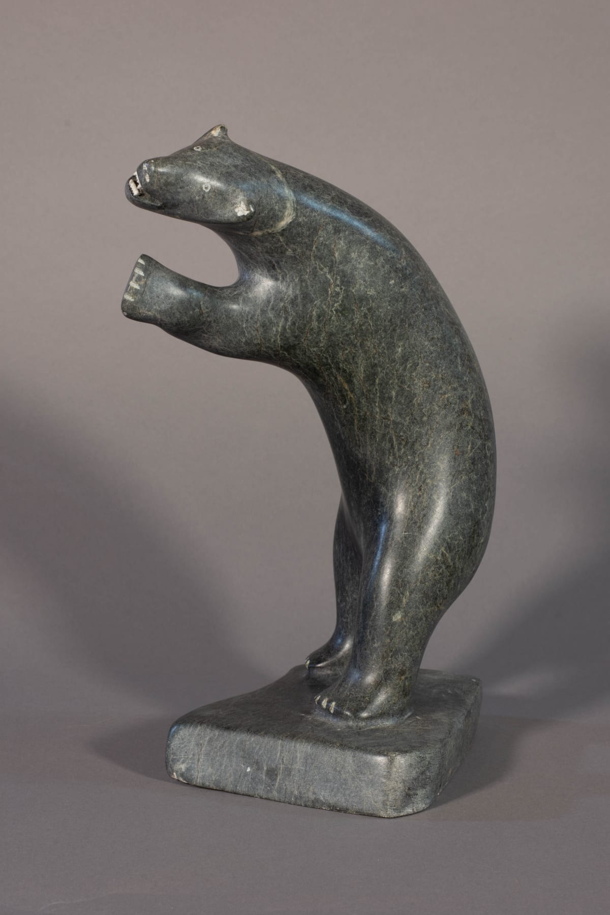 International Polar Bear Day