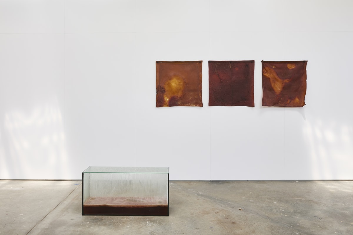 Bientôt / Soon : Claude Viallat : Unravelled