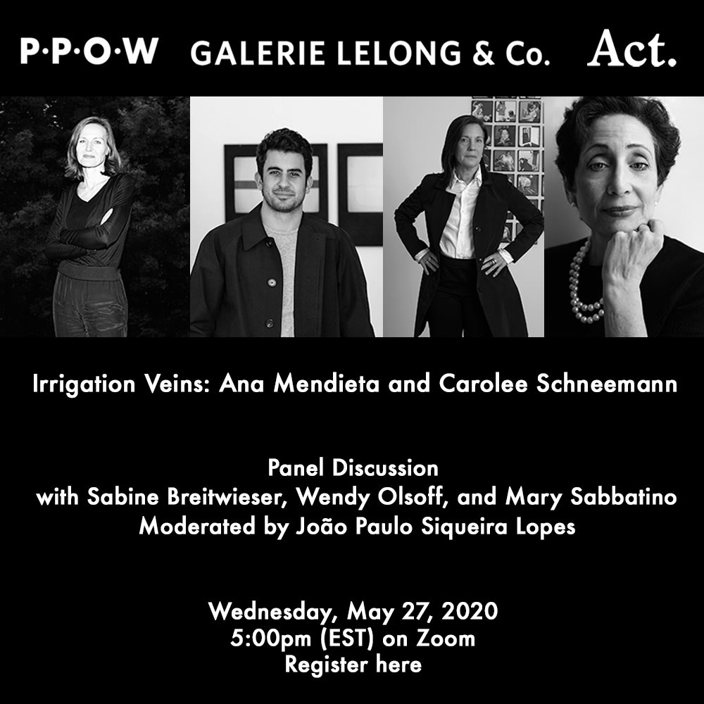 Panel Discussion "Irrigation Veins: Ana Mendieta and Carolee Schneemann"