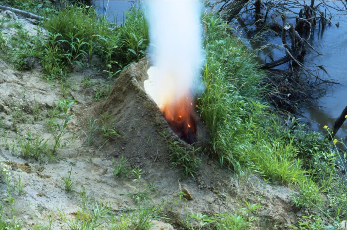 Ana Mendieta