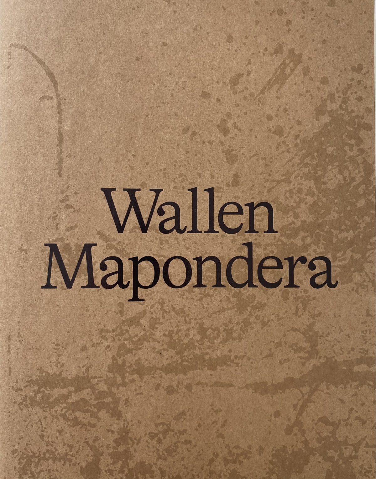 Wallen Mapondera