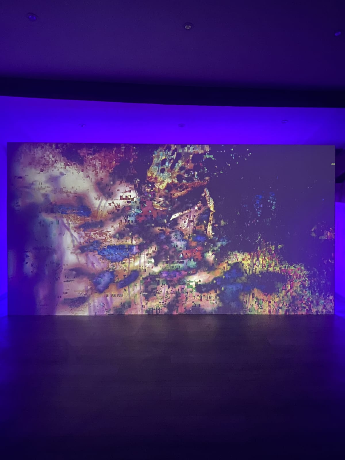 Event: Antoine Renard, Crypto-Pharmacopoeia - Fondation Manuel Rivera-Ortiz  | Galerie Nathalie Obadia