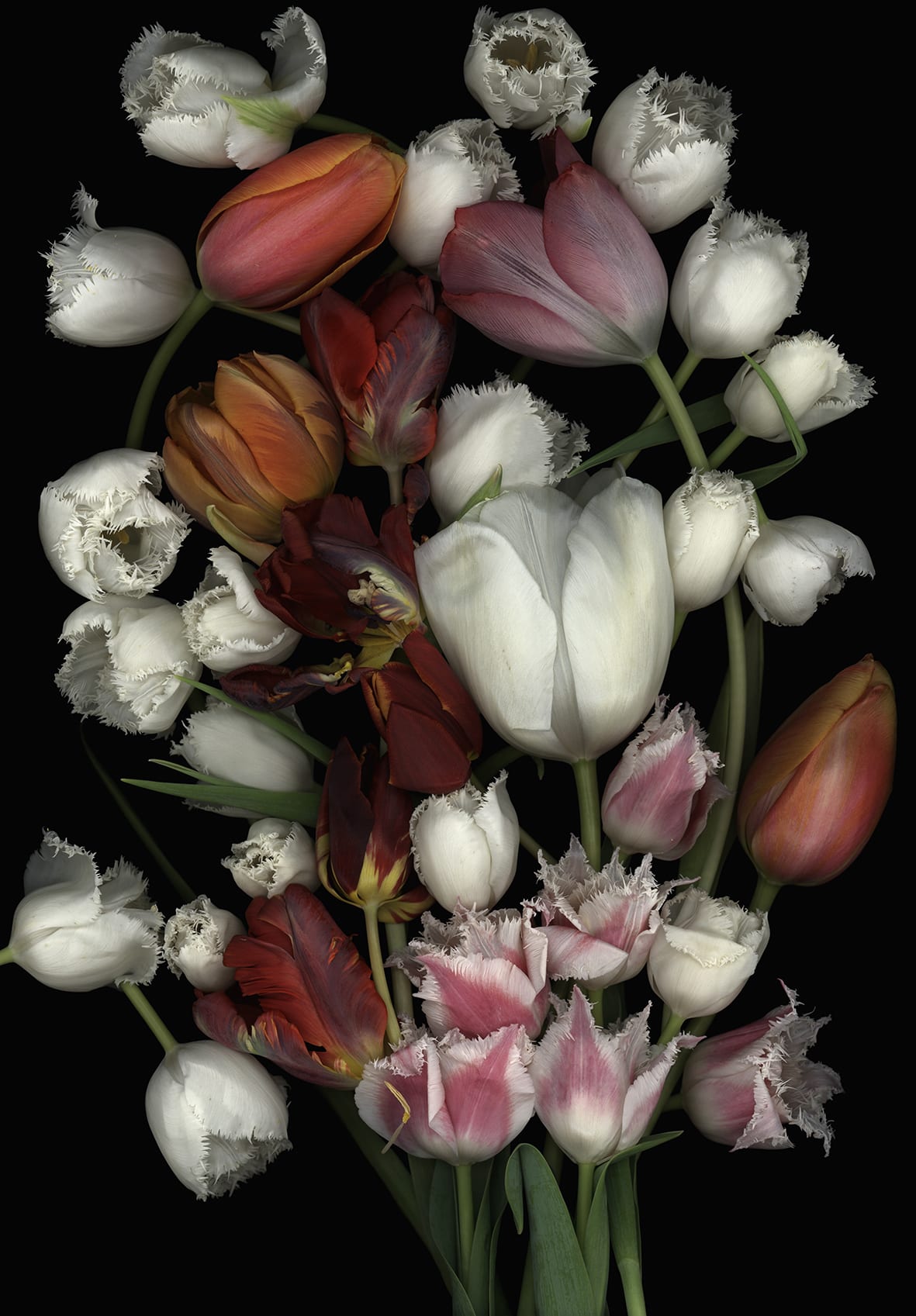 Luzia Simons Dih cvetja