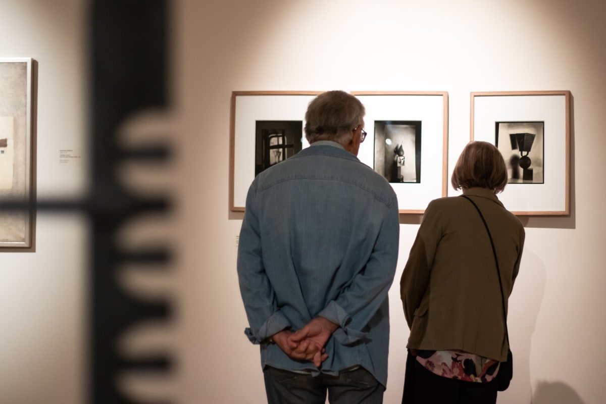Artworks by Uroš Abram, Boris Gaberščik, Andrej Lamut, Tihomir Pinter and Boštjan Pucelj at Galerija Božidar Jakac
