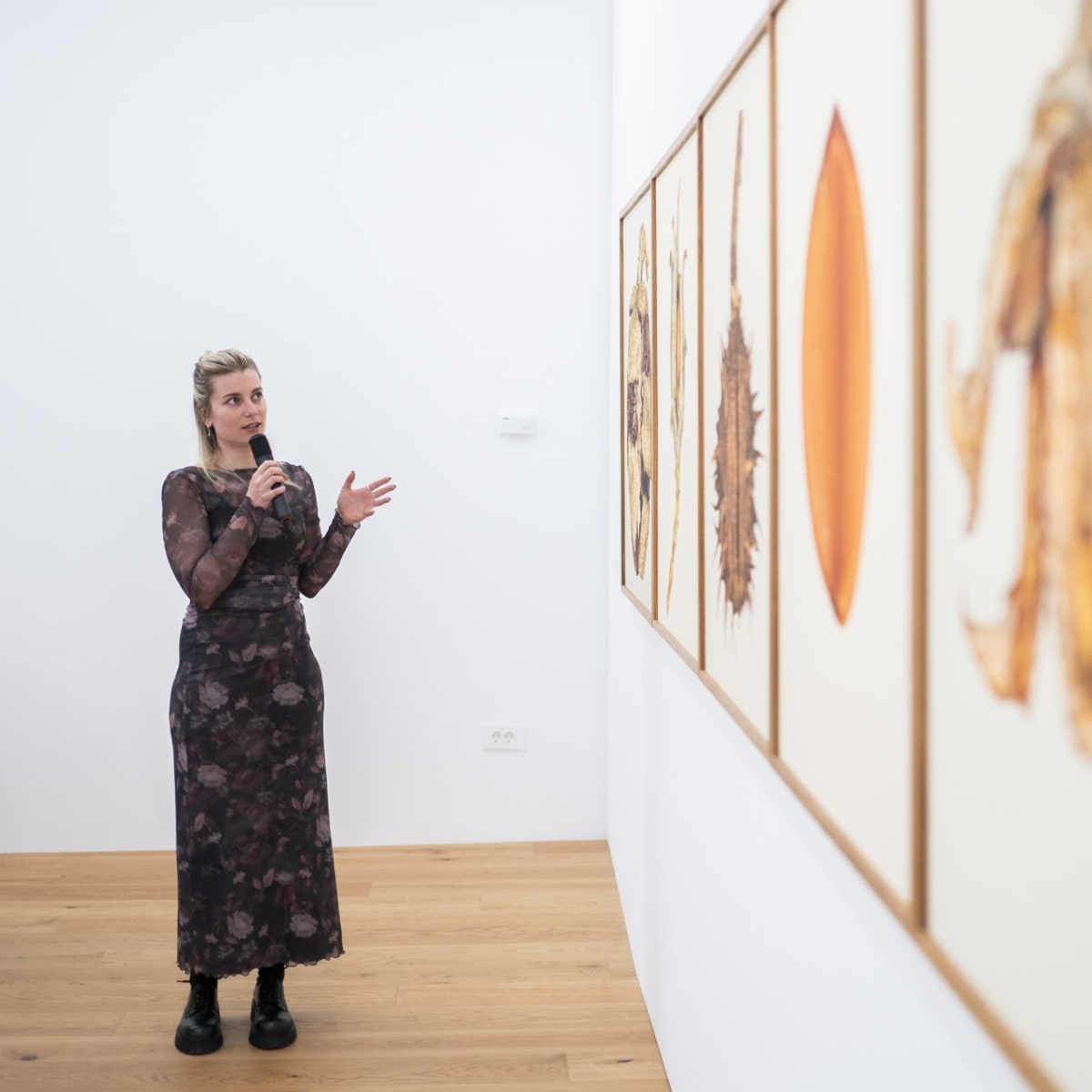 Guided Tour of Tilyen Mucik's Exhibition Seeds with the Artist