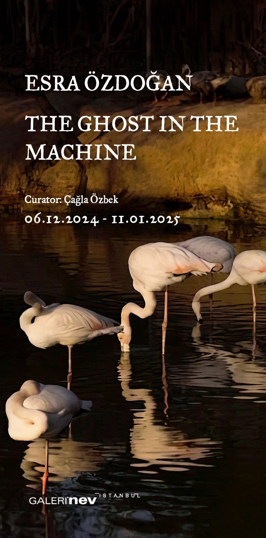 THE GHOST IN THE MACHINE