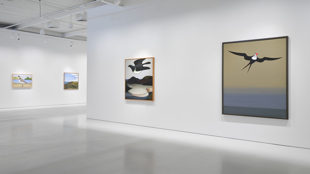 A native bird in a modernist tree: Further reflections on Don Binney