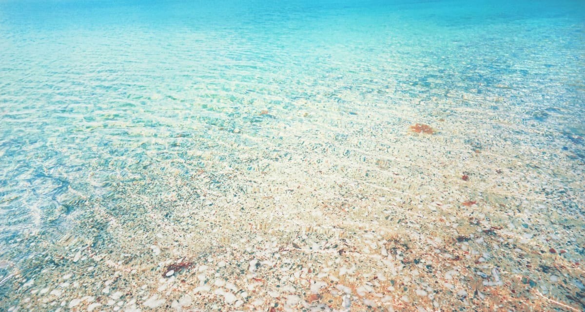 John Mackechnie - Shifting Sands