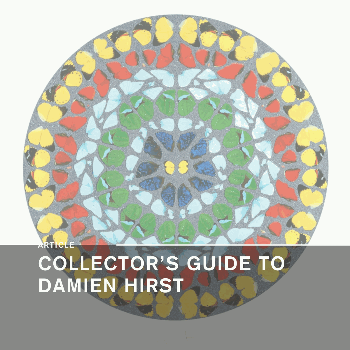Collector's Guide to Damien Hirst