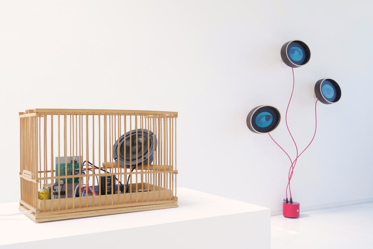 two Alan Rath sculptures one is tiny subwoofer connected to battery in wooden cage and the other is composed of three screens with blinking and moving eyes connected to base on the floor.