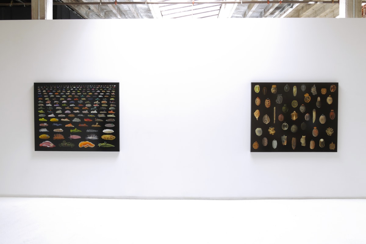 Exhibitions | Hosfelt Gallery