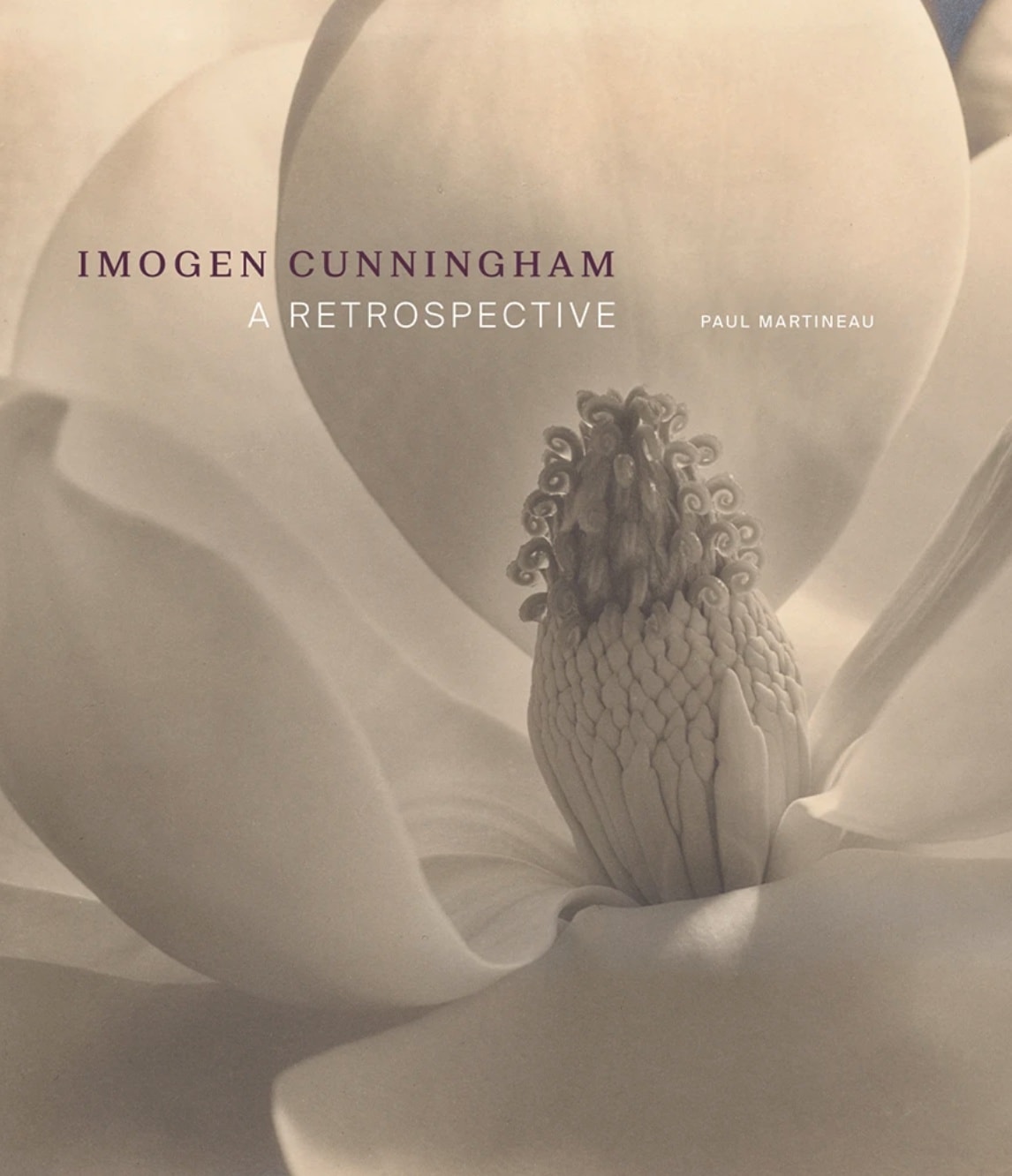 Imogen Cunningham | Edwynn Houk Gallery