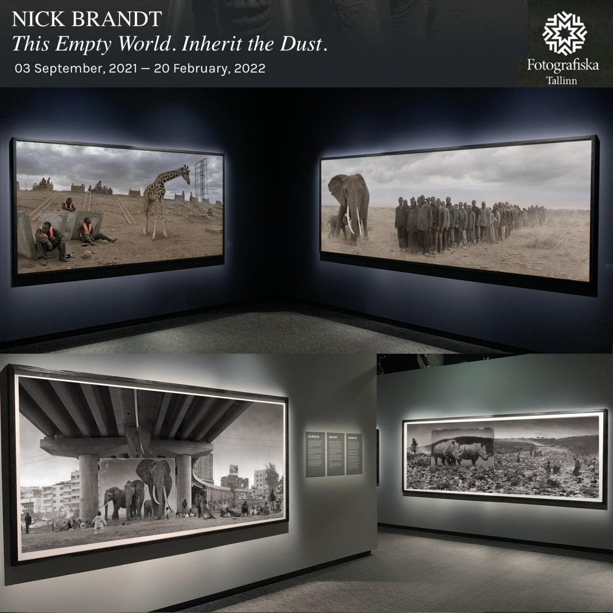 Nick Brandt Solo Exhibition at Fotografiska