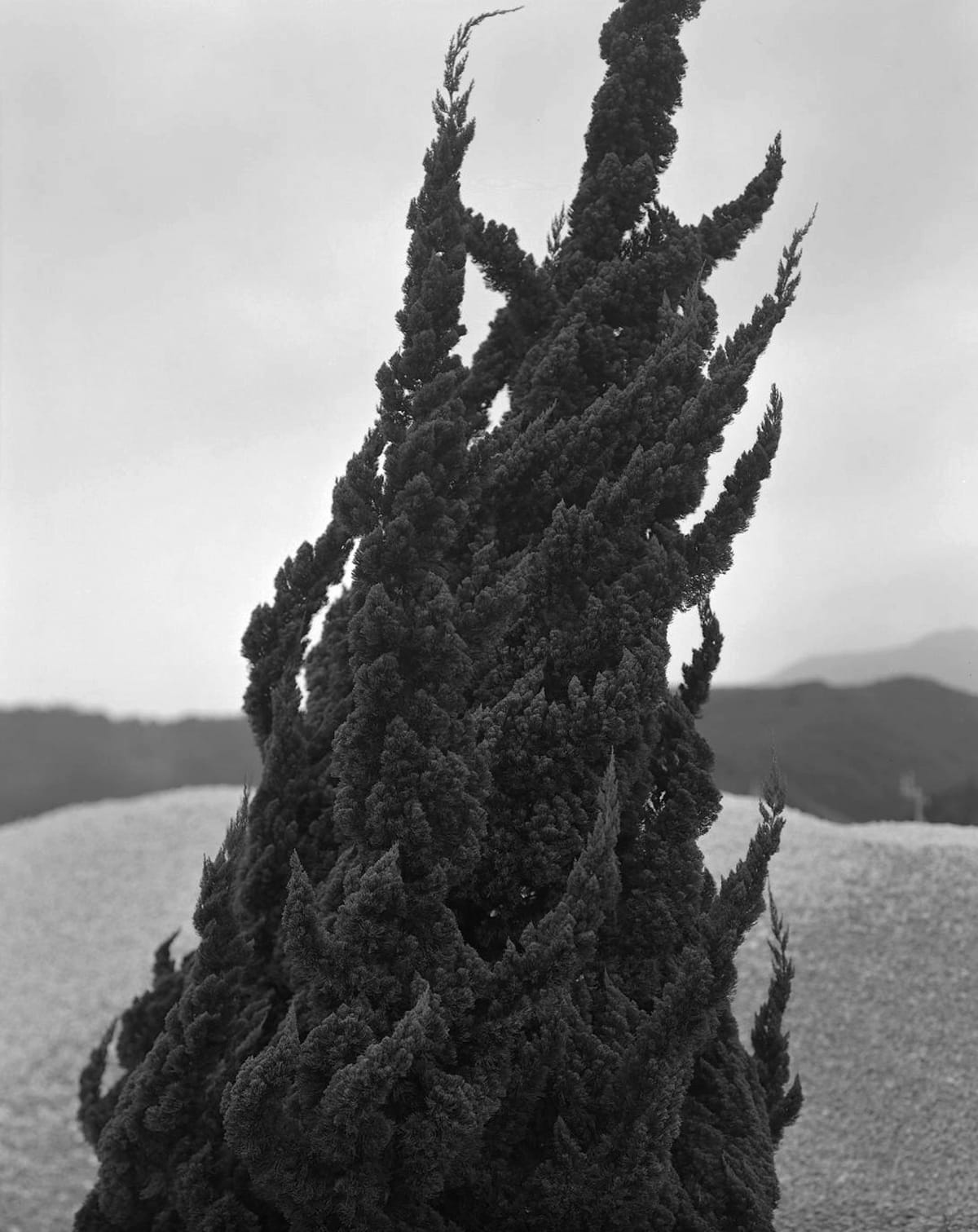 Gerry Johansson - American Winter (Signed) | Photobook Junkies