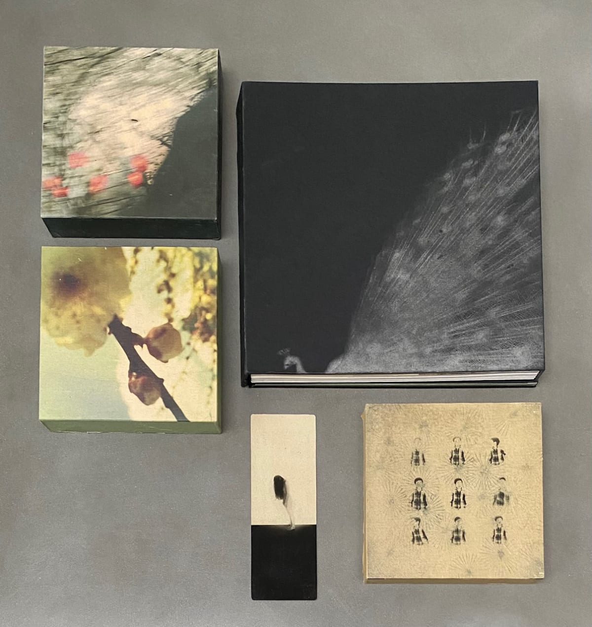 Publishing | IBASHO