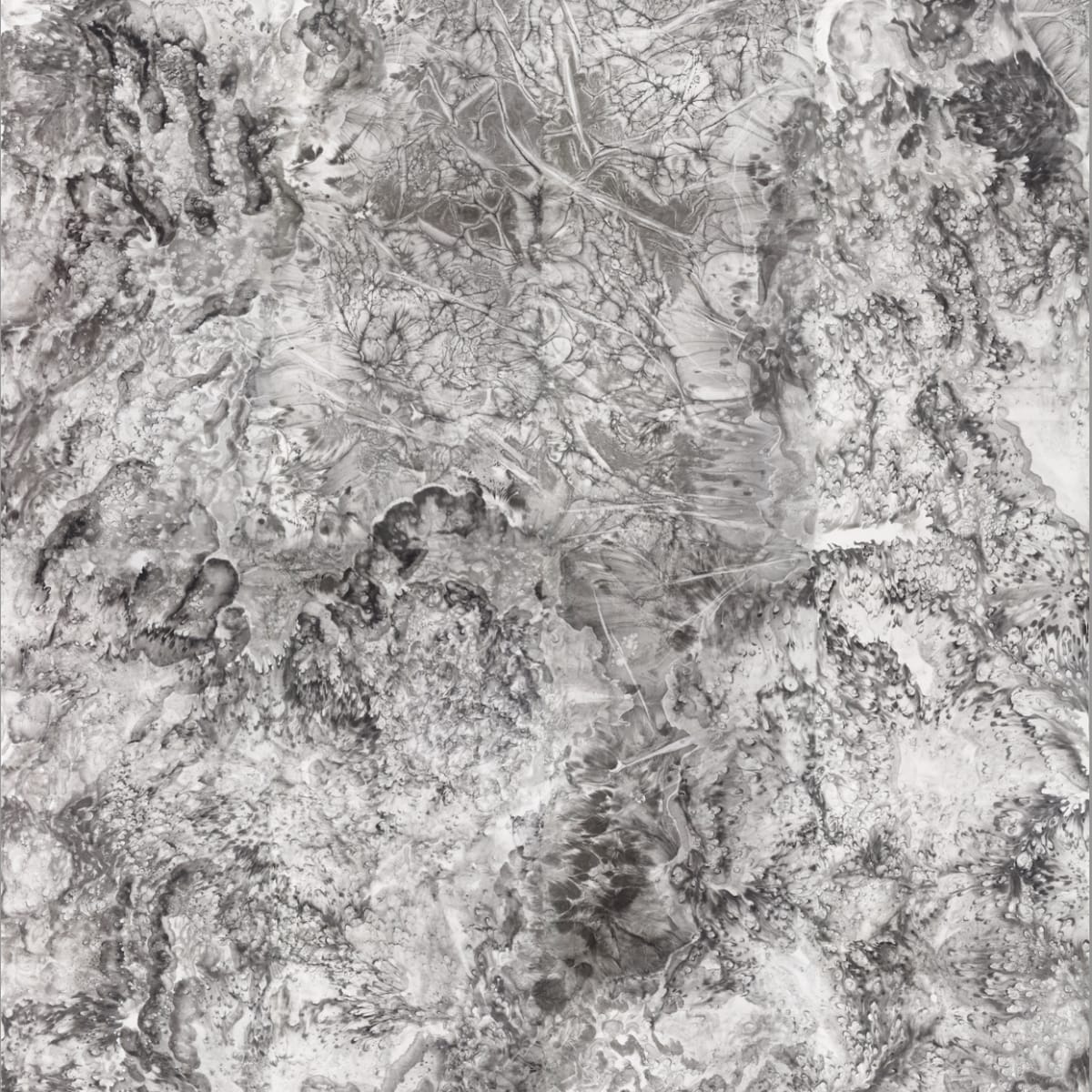 最新动态| INKstudio