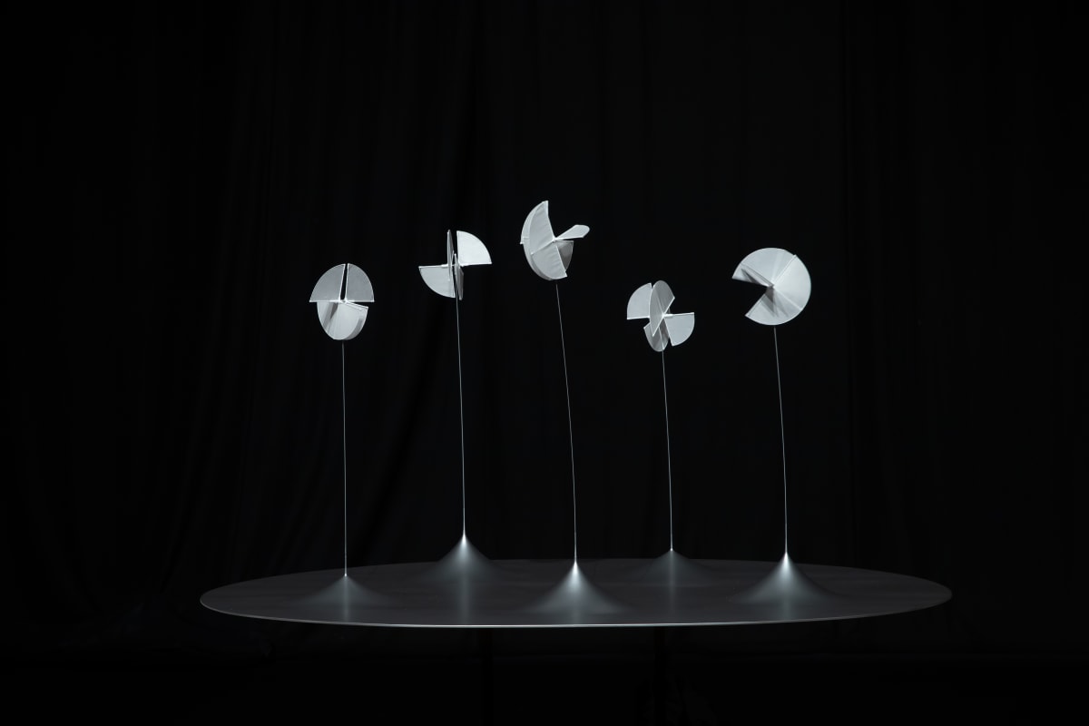 Susumu Shingu: Sculpting with Wind