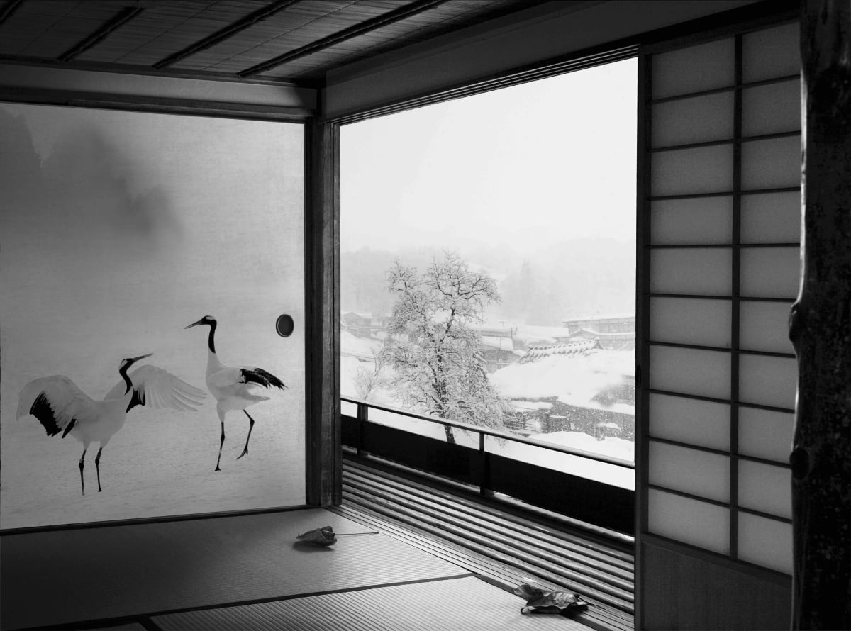 photo synthesis photography