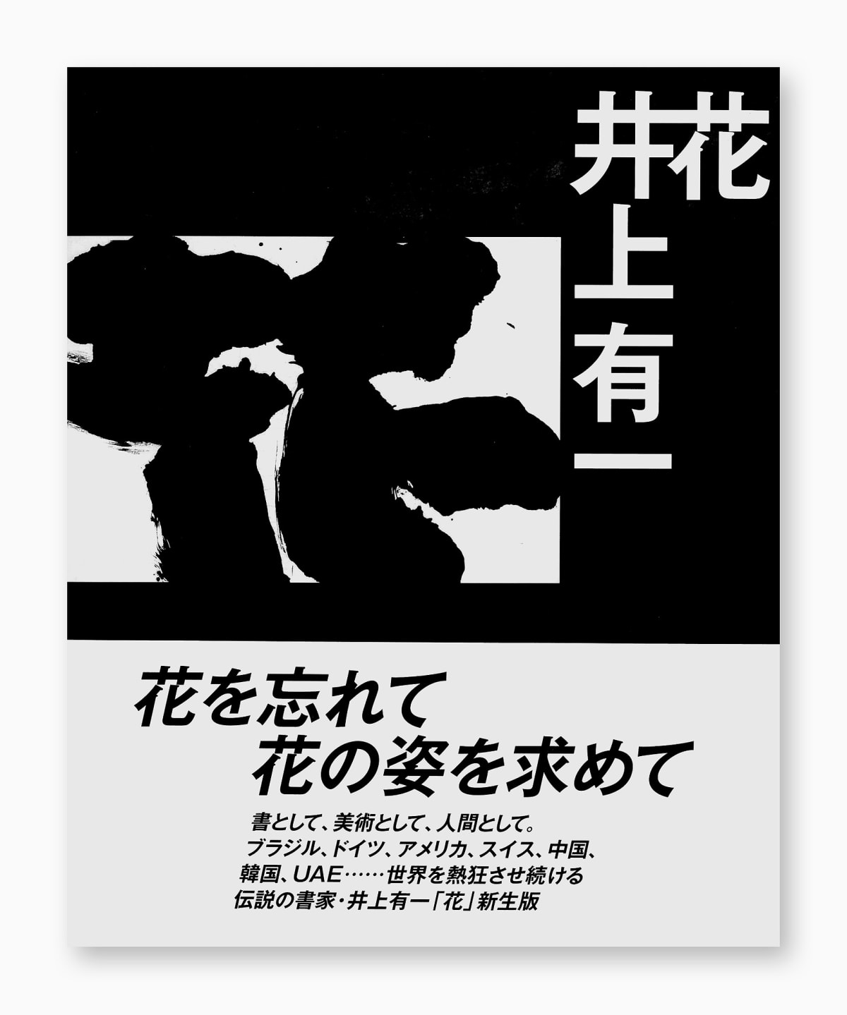 Publication Yu Ichi Inoue Flower Japan Art Galerie Friedrich Muller Publication Yu Ichi Inoue Flower Japan Art Galerie Friedrich Muller