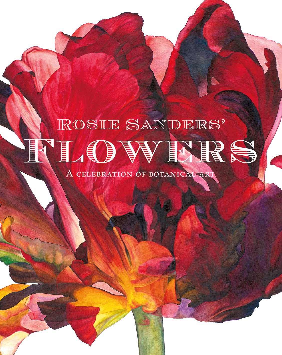 'Rosie Sander's Flowers: A Celebration of Botanical Art' Published in English