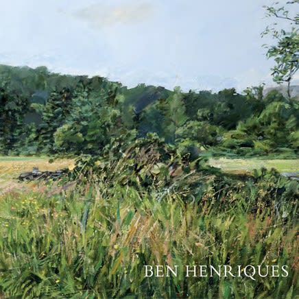 Ben Henriques : Wilderness Paintings