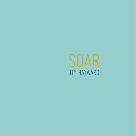 Tim Hayward: Soar