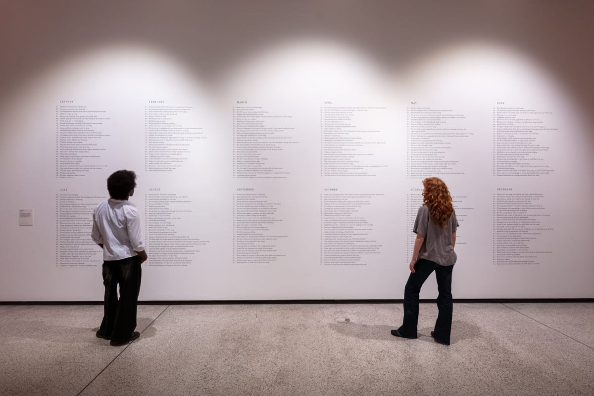 Marcus Coates, More than Human, Design Museum, London, UK