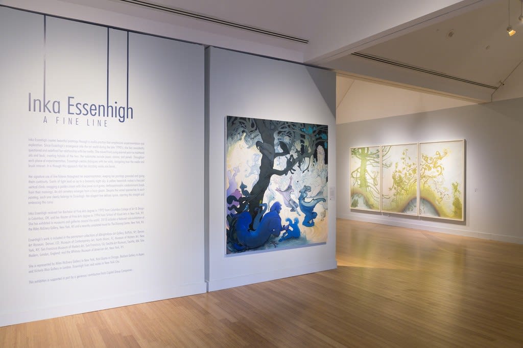 Inka Essenhigh: A Fine Line at the Virginia Museum of Contemporary Art