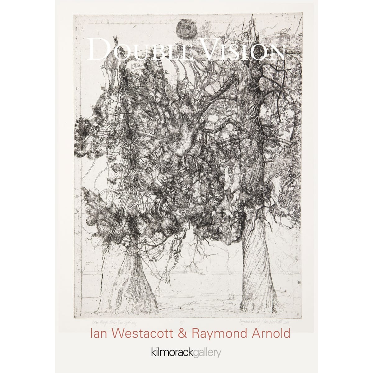 Double Vision | Raymond Arnold & Ian Westacott