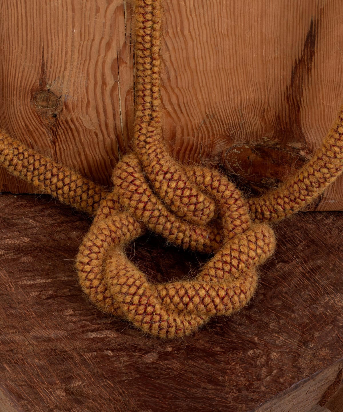 A Living Confluence Tonico Lemos Auad and Goia Mujalli